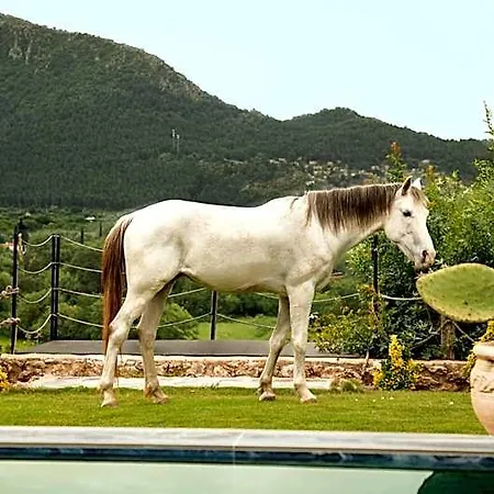 Kassandra Heritage Otel *